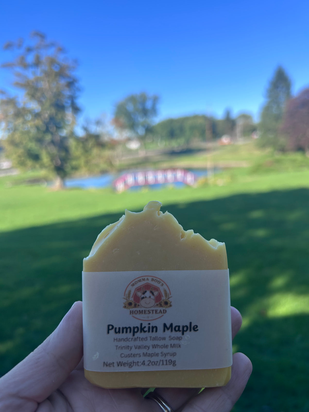 Pumpkin Maple Soap