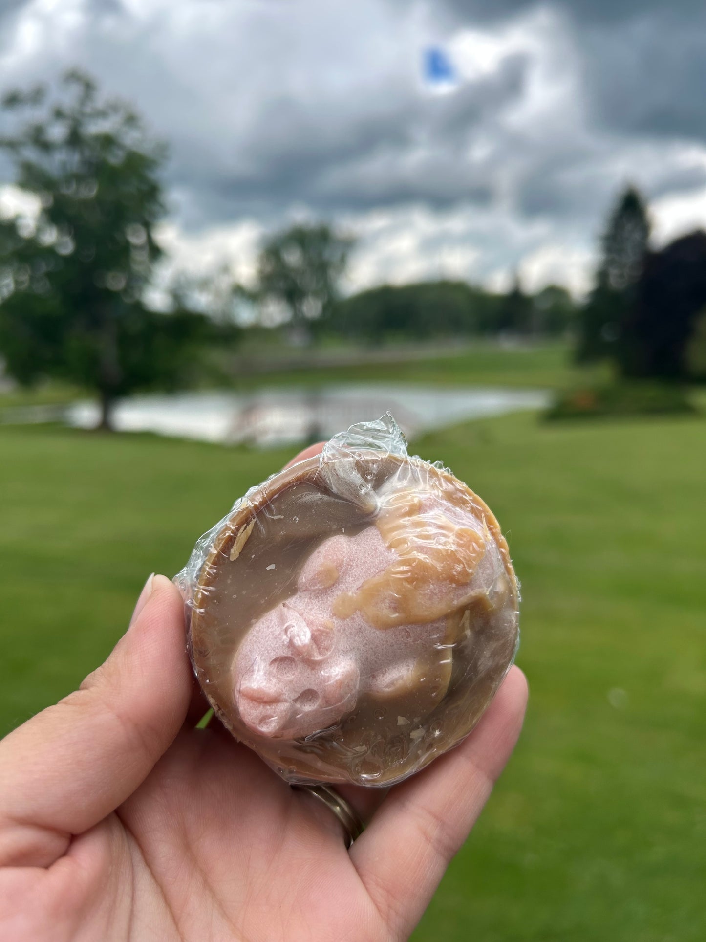 Pigs In Mud Soap