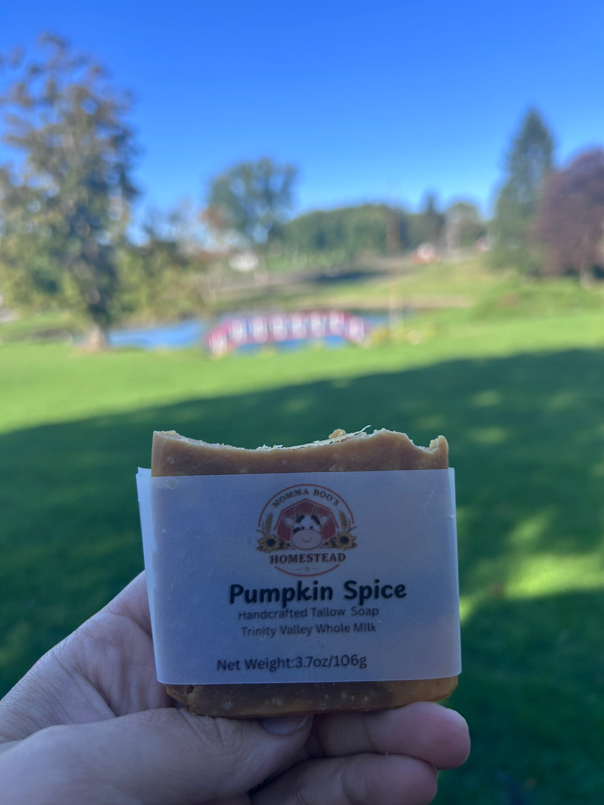 Pumpkin Spice Soap