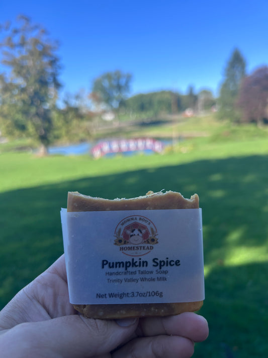 Pumpkin Spice Soap