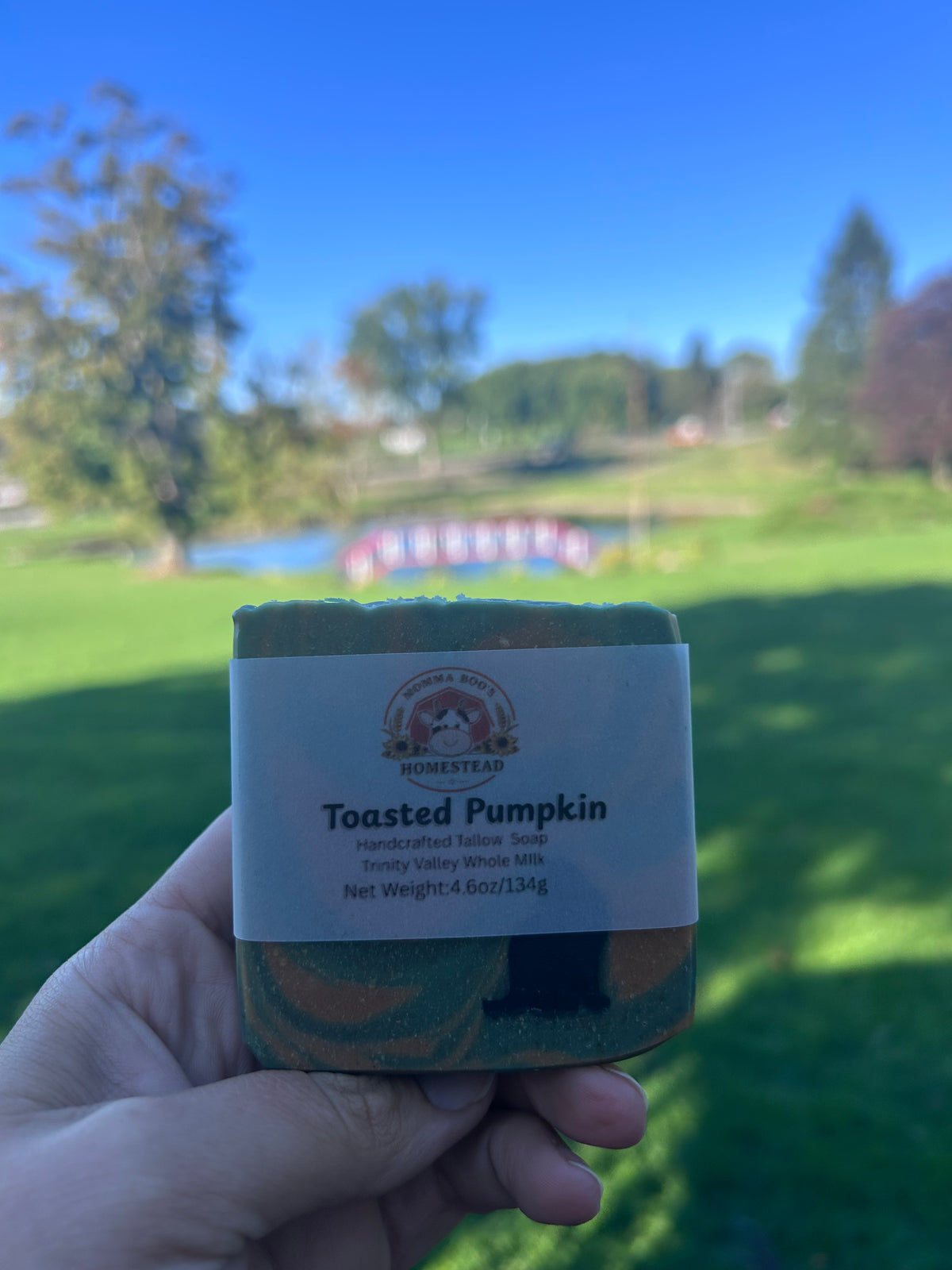 Toasted Pumpkin Soap