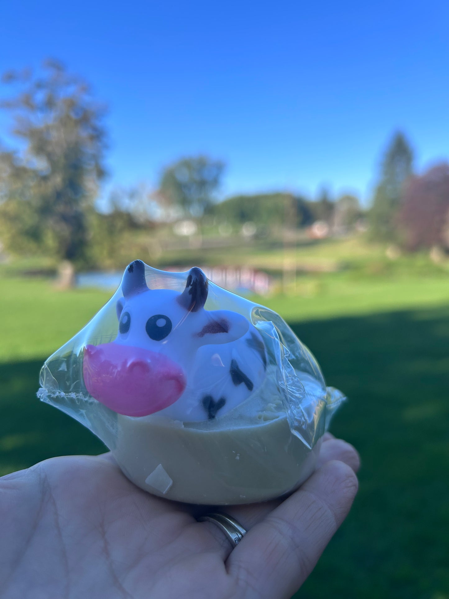 Tallow and Honey Cow Soap